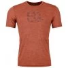 Ortovox 120 Cool Tec Mountain Logo T-Shirt - Merinoshirt
