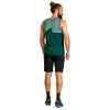Ortovox 120 Tec Fast Mountain Top - Merinoshirt